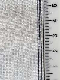 BC3543 Striscia Di Voile[Tessile / Tessuto] COSMO TEXTILE Sottofoto