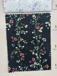 850523 SEVENBERRY® Broadcloth Broad Cotton Antique Di Canon[Tessile / Tessuto] VANCET Sottofoto