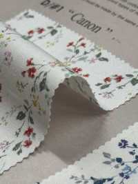 850523 SEVENBERRY® Broadcloth Broad Cotton Antique Di Canon[Tessile / Tessuto] VANCET Sottofoto