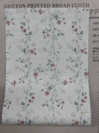 850523 SEVENBERRY® Broadcloth Broad Cotton Antique Di Canon[Tessile / Tessuto] VANCET Sottofoto