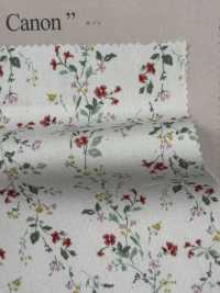 850523 SEVENBERRY® Broadcloth Broad Cotton Antique Di Canon[Tessile / Tessuto] VANCET Sottofoto
