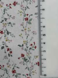 850523 SEVENBERRY® Broadcloth Broad Cotton Antique Di Canon[Tessile / Tessuto] VANCET Sottofoto