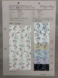 850523 SEVENBERRY® Broadcloth Broad Cotton Antique Di Canon[Tessile / Tessuto] VANCET Sottofoto