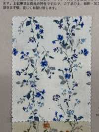 850523 SEVENBERRY® Broadcloth Broad Cotton Antique Di Canon[Tessile / Tessuto] VANCET Sottofoto