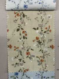 850523 SEVENBERRY® Broadcloth Broad Cotton Antique Di Canon[Tessile / Tessuto] VANCET Sottofoto