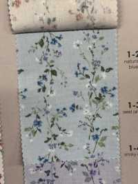 850523 SEVENBERRY® Broadcloth Broad Cotton Antique Di Canon[Tessile / Tessuto] VANCET Sottofoto
