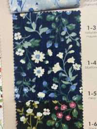 850525 SEVENBERRY® Broadcloth Broad Cotton Antique Day Berry Field[Tessile / Tessuto] VANCET Sottofoto
