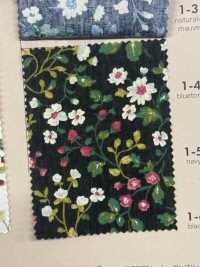 850525 SEVENBERRY® Broadcloth Broad Cotton Antique Day Berry Field[Tessile / Tessuto] VANCET Sottofoto
