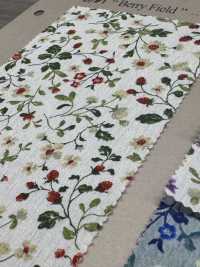 850525 SEVENBERRY® Broadcloth Broad Cotton Antique Day Berry Field[Tessile / Tessuto] VANCET Sottofoto