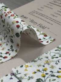 850525 SEVENBERRY® Broadcloth Broad Cotton Antique Day Berry Field[Tessile / Tessuto] VANCET Sottofoto