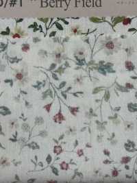 850525 SEVENBERRY® Broadcloth Broad Cotton Antique Day Berry Field[Tessile / Tessuto] VANCET Sottofoto