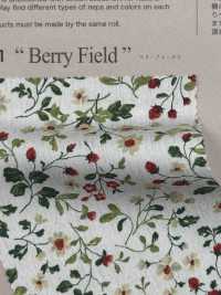850525 SEVENBERRY® Broadcloth Broad Cotton Antique Day Berry Field[Tessile / Tessuto] VANCET Sottofoto