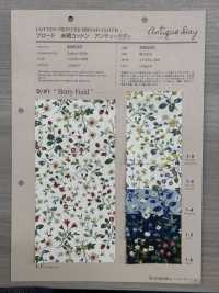 850525 SEVENBERRY® Broadcloth Broad Cotton Antique Day Berry Field[Tessile / Tessuto] VANCET Sottofoto