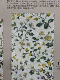 850525 SEVENBERRY® Broadcloth Broad Cotton Antique Day Berry Field[Tessile / Tessuto] VANCET Sottofoto