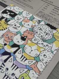 850536 SEVENBERRY® Oxford Cotone Non Sbiancato Nyan Comics[Tessile / Tessuto] VANCET Sottofoto