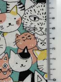 850536 SEVENBERRY® Oxford Cotone Non Sbiancato Nyan Comics[Tessile / Tessuto] VANCET Sottofoto