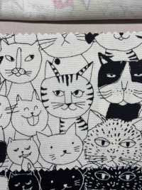 850536 SEVENBERRY® Oxford Cotone Non Sbiancato Nyan Comics[Tessile / Tessuto] VANCET Sottofoto