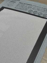 1066603 MAGLIETTE SMART TEACH® ~ Serie Tricot A Righe Cationiche ~[Tessile / Tessuto] TAKISADA NAGOYA Sottofoto
