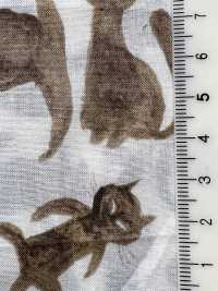 1026-625-2 60 Gatto Da Prato[Tessile / Tessuto] HOKKOH Sottofoto