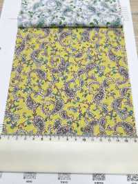 3026-650-7 60 Prato Paisley[Tessile / Tessuto] HOKKOH Sottofoto