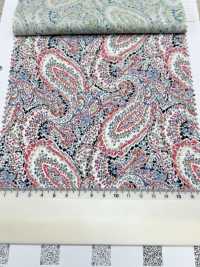 3026-650-10 60 Prato Paisley[Tessile / Tessuto] HOKKOH Sottofoto