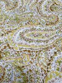3026-650-10 60 Prato Paisley[Tessile / Tessuto] HOKKOH Sottofoto