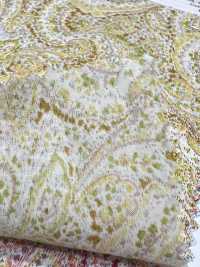 3026-650-10 60 Prato Paisley[Tessile / Tessuto] HOKKOH Sottofoto
