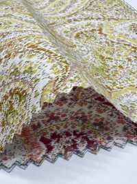 3026-650-10 60 Prato Paisley[Tessile / Tessuto] HOKKOH Sottofoto
