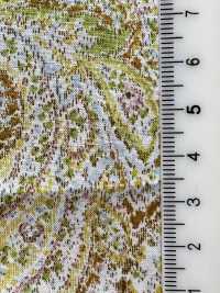 3026-650-10 60 Prato Paisley[Tessile / Tessuto] HOKKOH Sottofoto