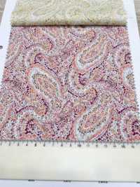 3026-650-10 60 Prato Paisley[Tessile / Tessuto] HOKKOH Sottofoto