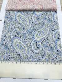3026-650-10 60 Prato Paisley[Tessile / Tessuto] HOKKOH Sottofoto