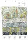 8026-680-2 Batista 80s Fiori fluttuanti Miracle Wave