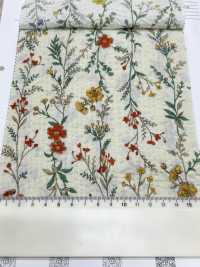 8026-680-4 80 Lawn Miracle Wave Stripe Flower[Tessile / Tessuto] HOKKOH Sottofoto