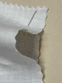 A-7013 1/80 Lino[Tessile / Tessuto] ARINOBE Sottofoto