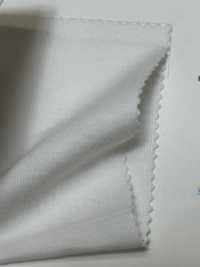 FJ200150 30/ CLEANSE Circolare Delle Coste[Tessile / Tessuto] Fujisaki Textile Sottofoto