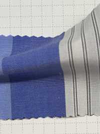 SBW11496 50/1 Strisce Pazze[Tessile / Tessuto] SHIBAYA Sottofoto