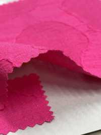 DS8450S Pietra Jacquard C/F[Tessile / Tessuto] KOYAMA Sottofoto