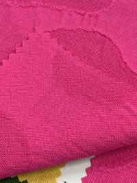 DS8450S Pietra Jacquard C/F[Tessile / Tessuto] KOYAMA Sottofoto