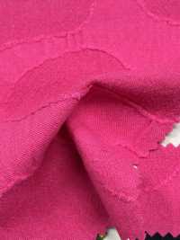DS8450S Pietra Jacquard C/F[Tessile / Tessuto] KOYAMA Sottofoto