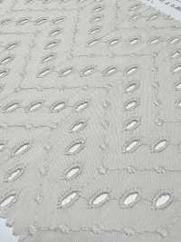 KCL521-D665 60 Pizzo Da Prato[Tessile / Tessuto] Uni Textile(Komon Studio) Sottofoto