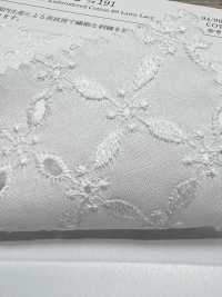 KCL522-D191 60 Pizzo Da Prato[Tessile / Tessuto] Uni Textile(Komon Studio) Sottofoto