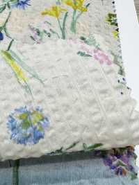 7026-620-4 80 Lawn Miracle Wave Botanical[Tessile / Tessuto] HOKKOH Sottofoto