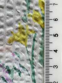 7026-620-4 80 Lawn Miracle Wave Botanical[Tessile / Tessuto] HOKKOH Sottofoto