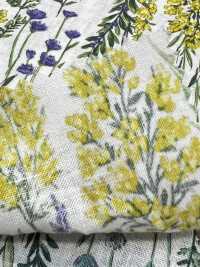 8026-790-1 Lino Loomstate A Righe A Fiori[Tessile / Tessuto] HOKKOH Sottofoto