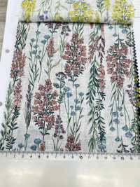 8026-790-1 Lino Loomstate A Righe A Fiori[Tessile / Tessuto] HOKKOH Sottofoto