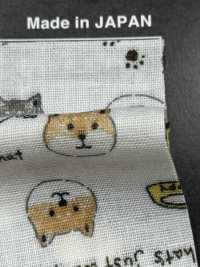 KTS6485 Stampa Shiba Inu A Doppia Garza[Tessile / Tessuto] Sottofoto