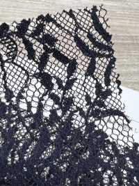 KKF8455-W-D1 Pizzo Raschel Grand In Poliestere, Larghezza Ampia[Tessile / Tessuto] Uni Textile(Komon Studio) Sottofoto