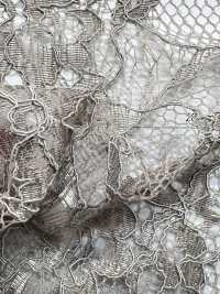 KKF8575-D5 Pizzo Scala Ny/Ry A Un Orecchio[Tessile / Tessuto] Uni Textile(Komon Studio) Sottofoto