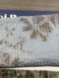 DCL658 Decolore 6W Corduroy[Tessile / Tessuto] Kumoi Beauty Sottofoto