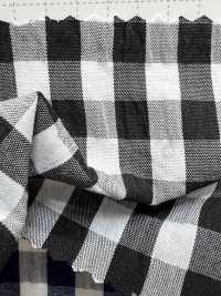 SB4H2016 Ripple Gingham Check[Tessile / Tessuto] SHIBAYA Sottofoto